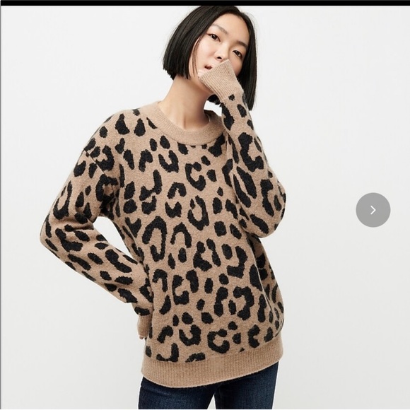 Lace Collar Tippi Sweater With Leopard Collar Embellished Collar J